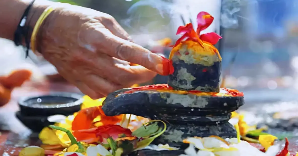 শ্রাবণ মাসে শিবের প্রিয় এই ফুলগুলো দিয়ে পুজো করুন: তুষ্ট হবেন দেবাদিদেব, মিটবে সব সংকট