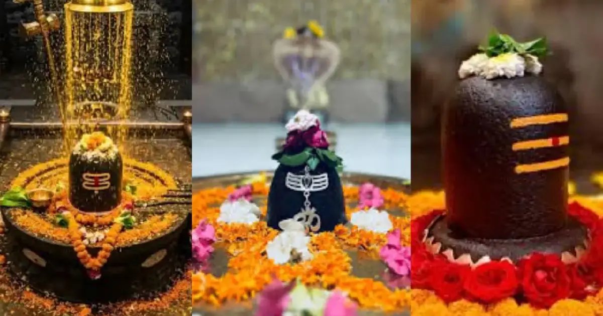 ঘরে শিবলিঙ্গ রাখার আগে সাবধান! রঙ ও পাথরের ভুলে সংসারে নেমে আসতে পারে অশান্তি